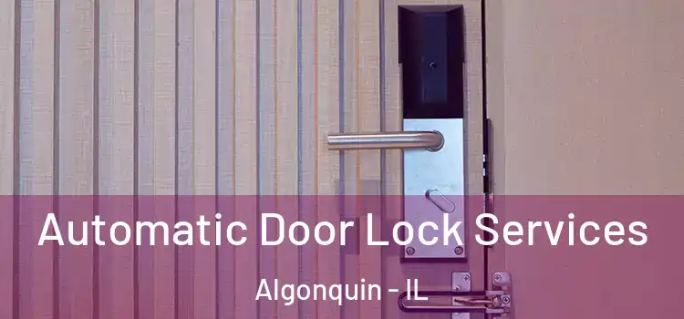 Automatic Door Lock Services Algonquin - IL