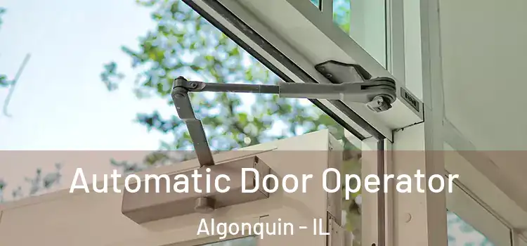 Automatic Door Operator Algonquin - IL