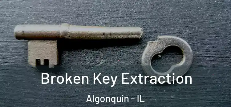 Broken Key Extraction Algonquin - IL