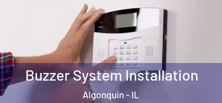 Buzzer System Installation Algonquin - IL