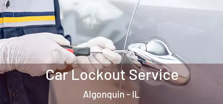  Car Lockout Service Algonquin - IL