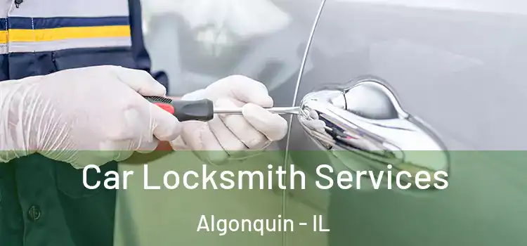 Car Locksmith Services Algonquin - IL