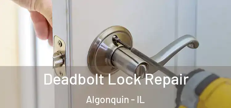  Deadbolt Lock Repair Algonquin - IL