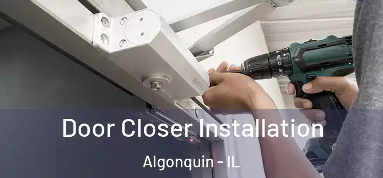  Door Closer Installation Algonquin - IL