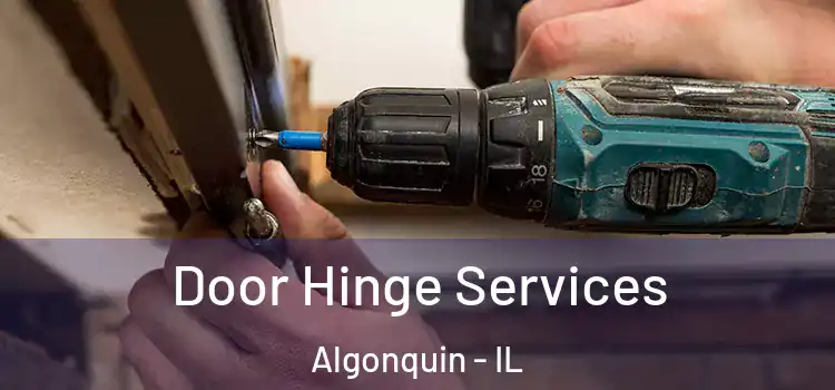 Door Hinge Services Algonquin - IL
