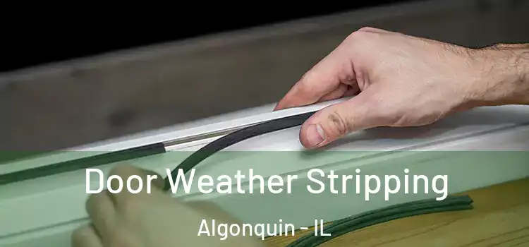  Door Weather Stripping Algonquin - IL