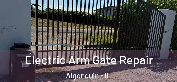  Electric Arm Gate Repair Algonquin - IL