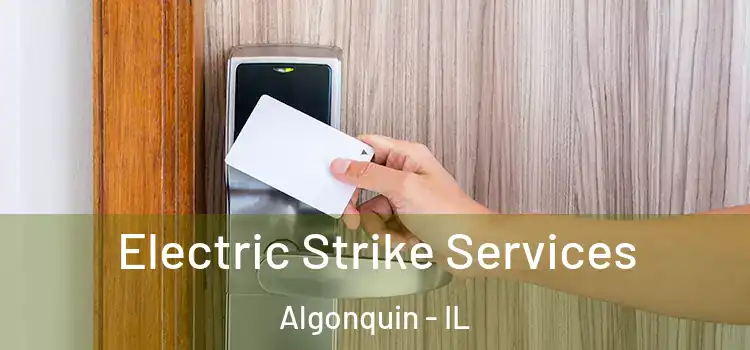  Electric Strike Services Algonquin - IL