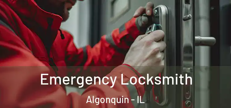 Emergency Locksmith Algonquin - IL