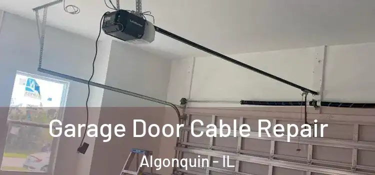  Garage Door Cable Repair Algonquin - IL