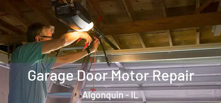  Garage Door Motor Repair Algonquin - IL
