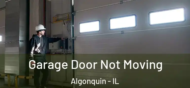  Garage Door Not Moving Algonquin - IL