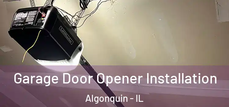  Garage Door Opener Installation Algonquin - IL