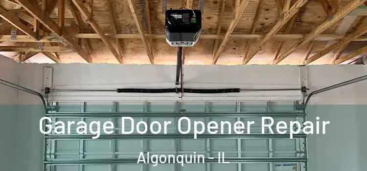  Garage Door Opener Repair Algonquin - IL