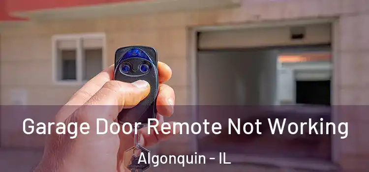  Garage Door Remote Not Working Algonquin - IL