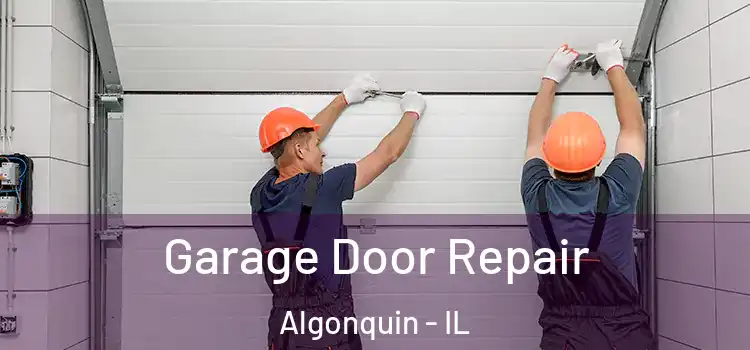  Garage Door Repair Algonquin - IL