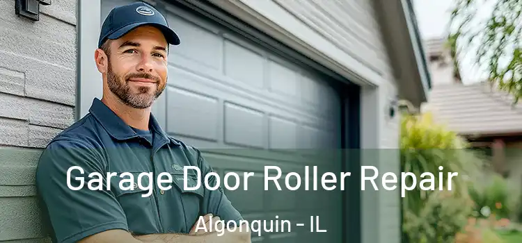  Garage Door Roller Repair Algonquin - IL