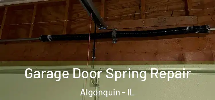  Garage Door Spring Repair Algonquin - IL