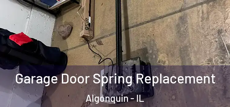  Garage Door Spring Replacement Algonquin - IL