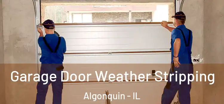  Garage Door Weather Stripping Algonquin - IL
