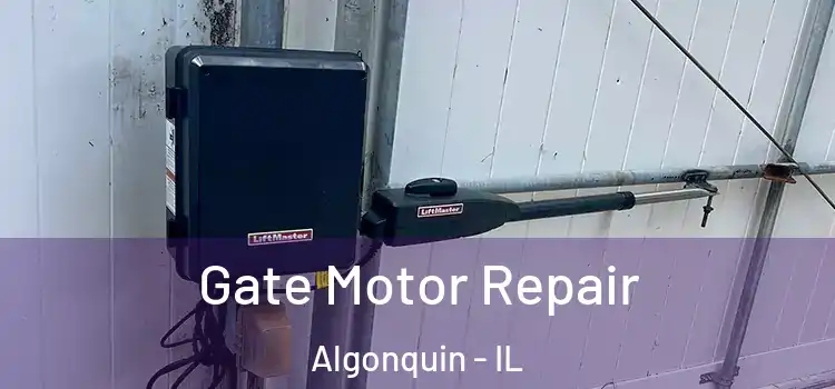  Gate Motor Repair Algonquin - IL