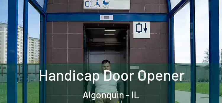  Handicap Door Opener Algonquin - IL