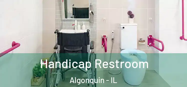  Handicap Restroom Algonquin - IL
