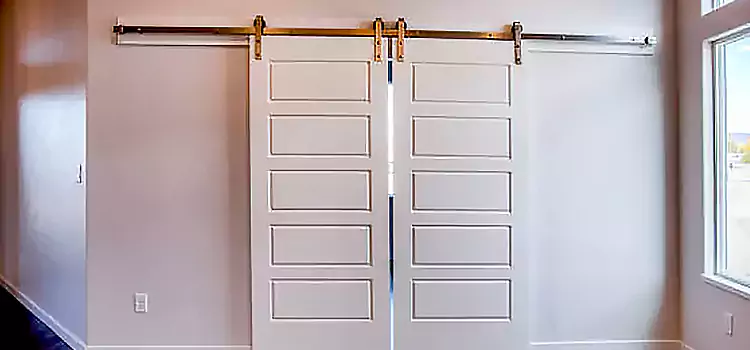 Glass Barn Door with Installation Hardware Kit Algonquin