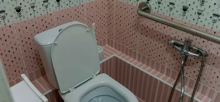 Meeting Diverse Needs With Accessible Restroom Solutions in Algonquin, IL
