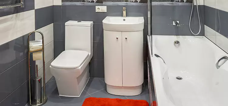 Hansgrohe Shaving Mirror Algonquin