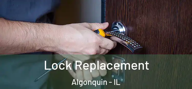 Lock Replacement Algonquin - IL