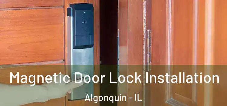  Magnetic Door Lock Installation Algonquin - IL