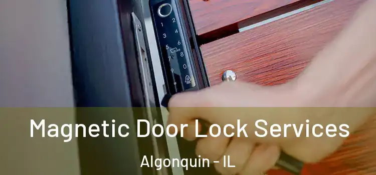  Magnetic Door Lock Services Algonquin - IL