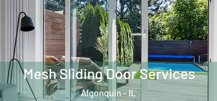  Mesh Sliding Door Services Algonquin - IL