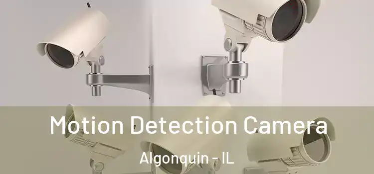  Motion Detection Camera Algonquin - IL