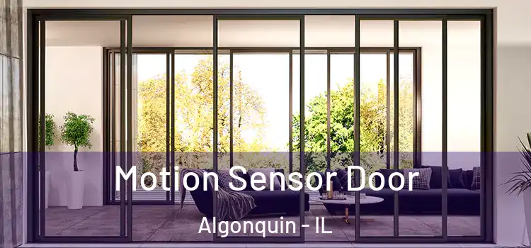 Motion Sensor Door Algonquin - IL