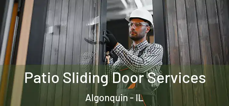  Patio Sliding Door Services Algonquin - IL