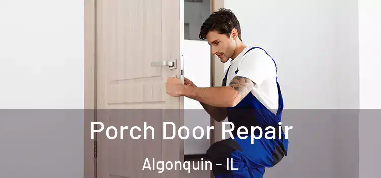  Porch Door Repair Algonquin - IL