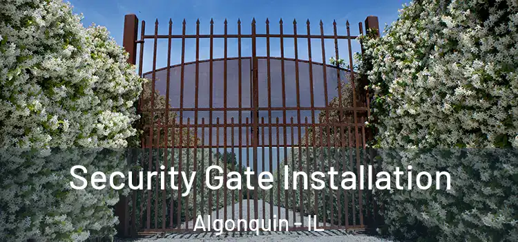  Security Gate Installation Algonquin - IL