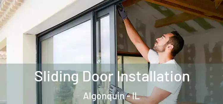  Sliding Door Installation Algonquin - IL