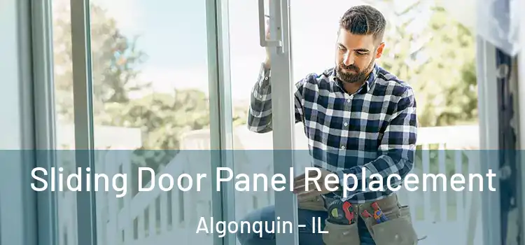 Sliding Door Panel Replacement Algonquin - IL