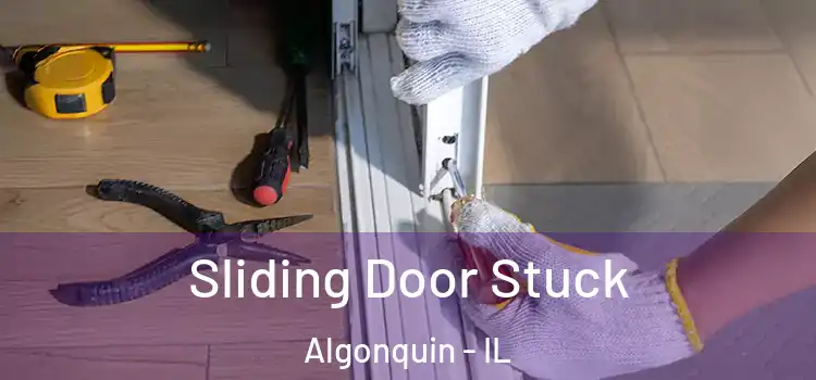  Sliding Door Stuck Algonquin - IL