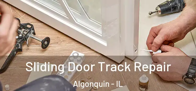  Sliding Door Track Repair Algonquin - IL