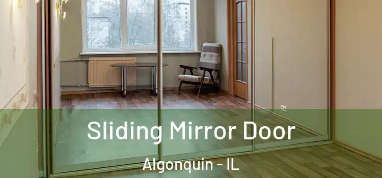  Sliding Mirror Door Algonquin - IL
