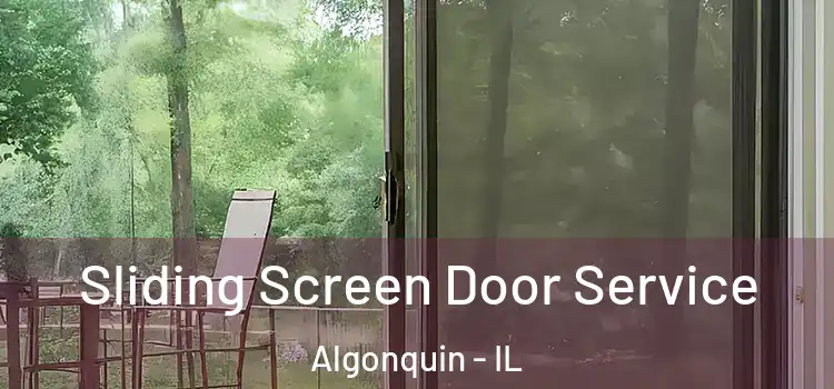  Sliding Screen Door Service Algonquin - IL
