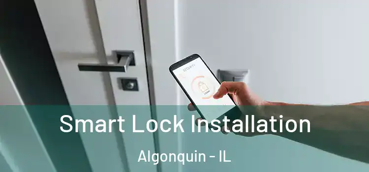 Smart Lock Installation Algonquin - IL