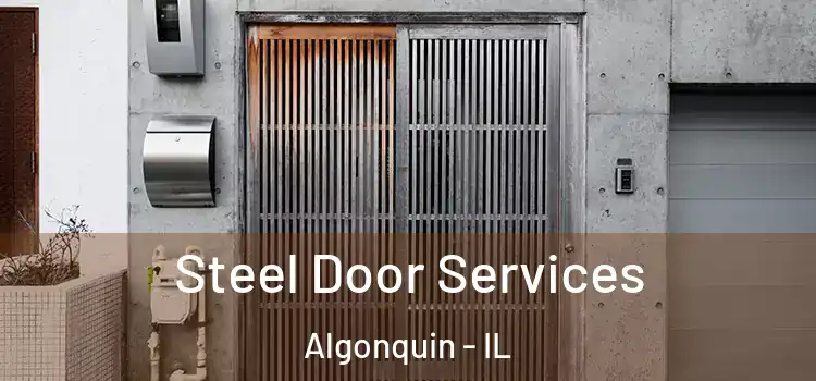  Steel Door Services Algonquin - IL