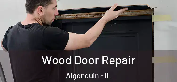  Wood Door Repair Algonquin - IL